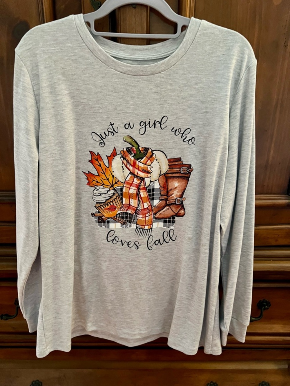 Just a Girl Who Loves Fall Graphic Long Sleeve Tee - Light Gray
